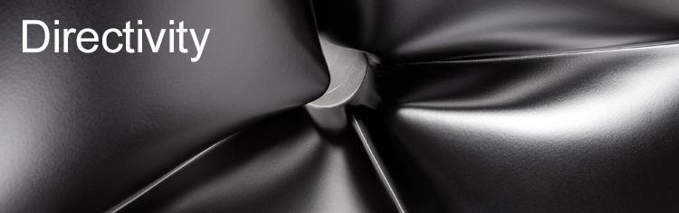 Directivity_Banner